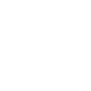 Plain white image with no content.